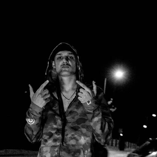 Avi David